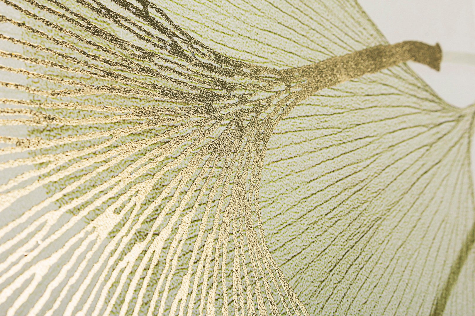 IMAGE for product variant SKU 240859