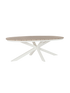 IMAGE for product variant SKU 664099
