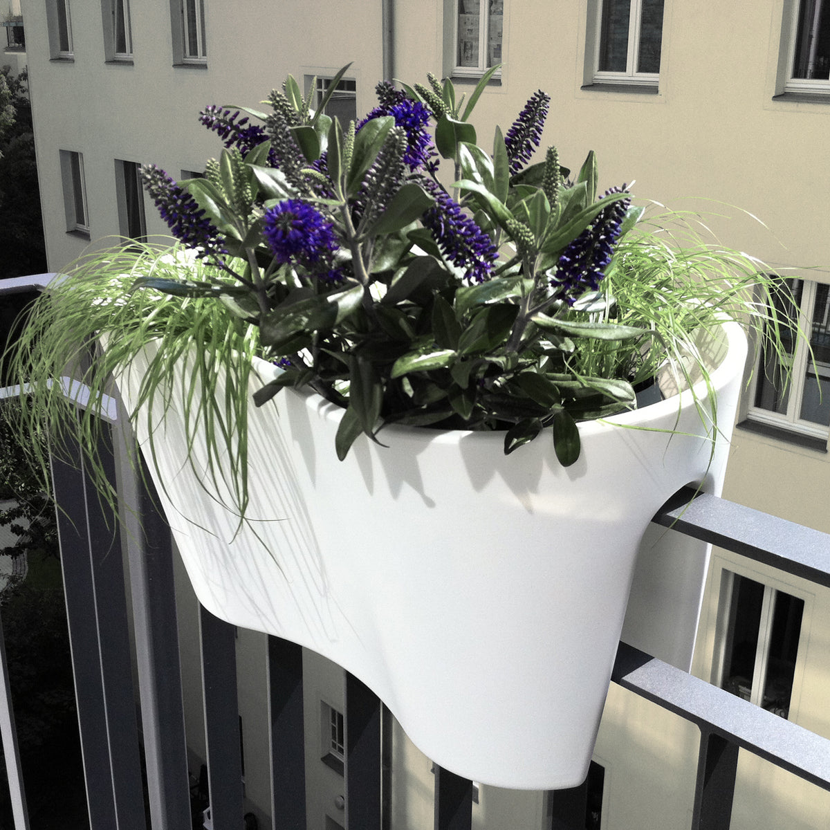 
Jardinière de balcon Duo 60 cm - Blanc