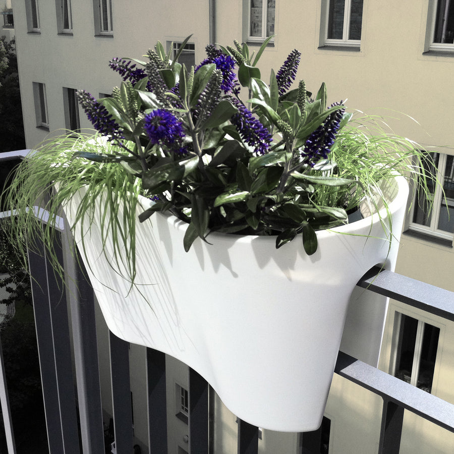 IMAGE for product variant SKU 741807650219
