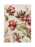 IMAGE for product variant SKU 81300140200