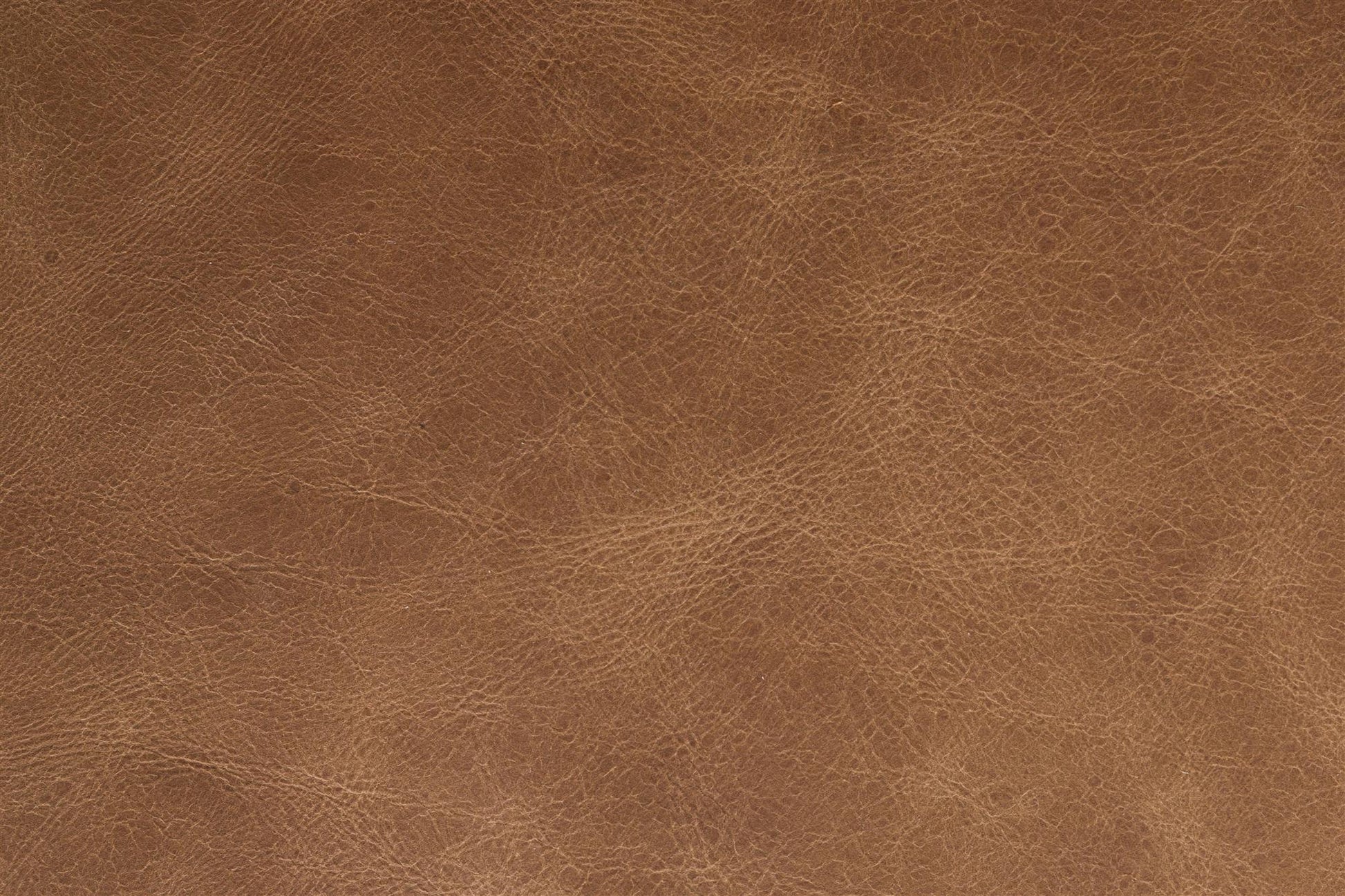 IMAGE for product variant SKU 1000907