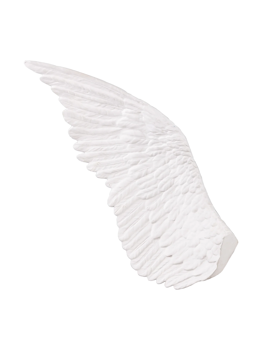 
Grand objet design "Memorabilia Mvsevm" - Aile gauche