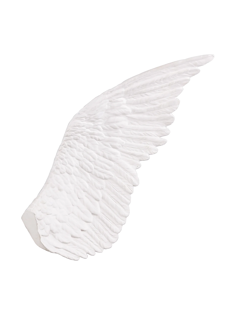 
Grand objet design "Memorabilia Mvsevm" - Ailier droit