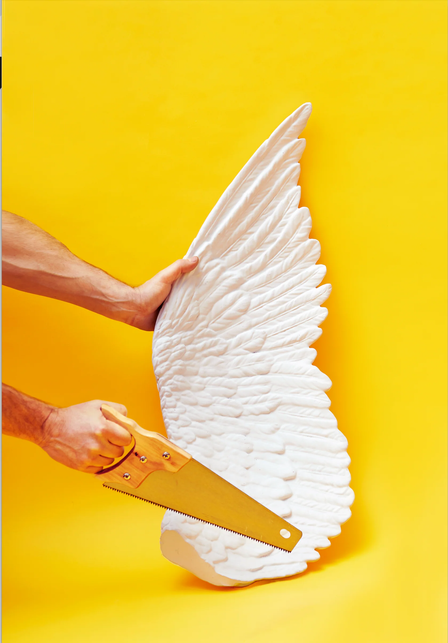 
Grand objet design "Memorabilia Mvsevm" - Ailier droit