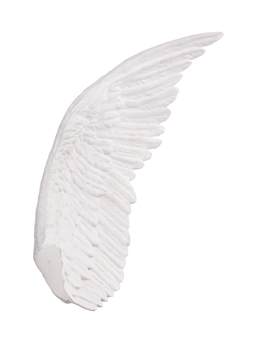 IMAGE for product variant SKU 10085