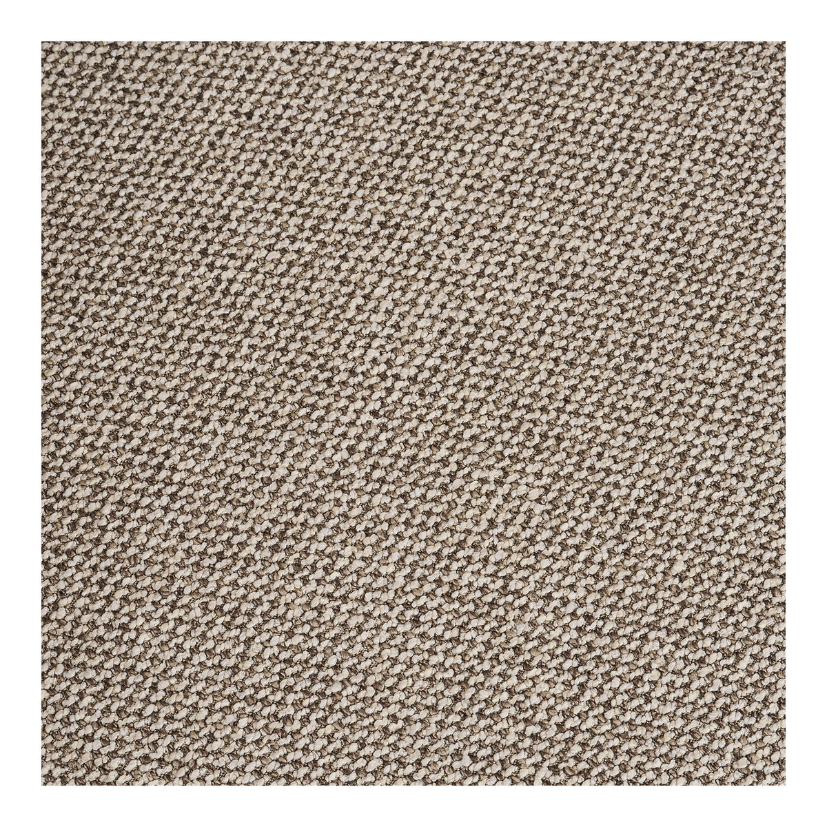 
Designer lounge chair “Sion”