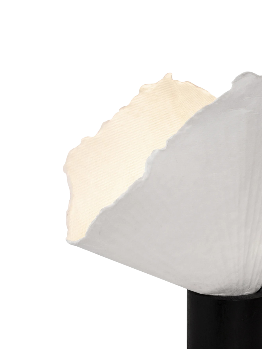IMAGE for product variant SKU 121020