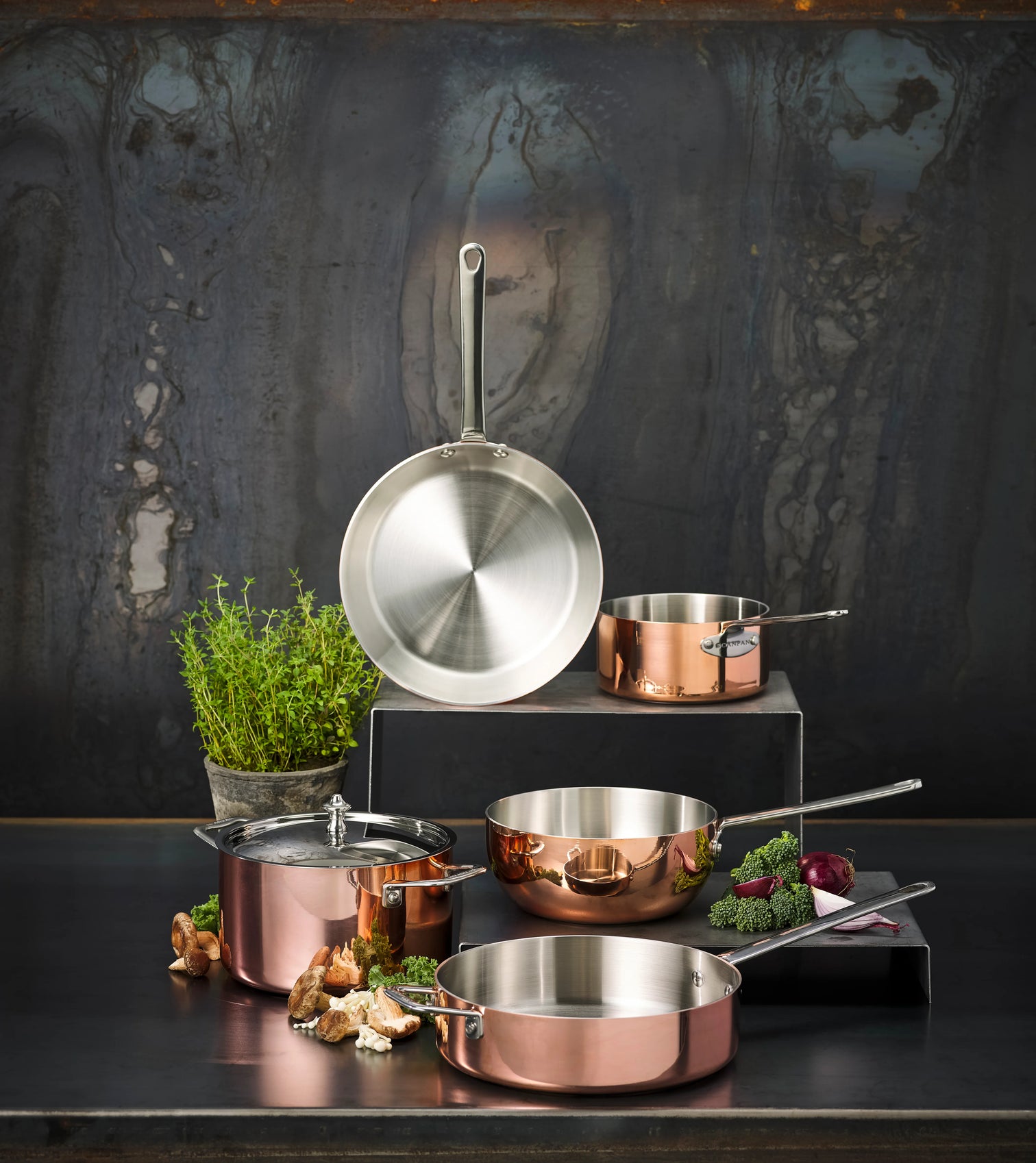 
"Maitre D' Induction" Premium Saucepan - Ø 16 cm / Without lid
