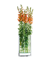 IMAGE for product variant SKU 123053