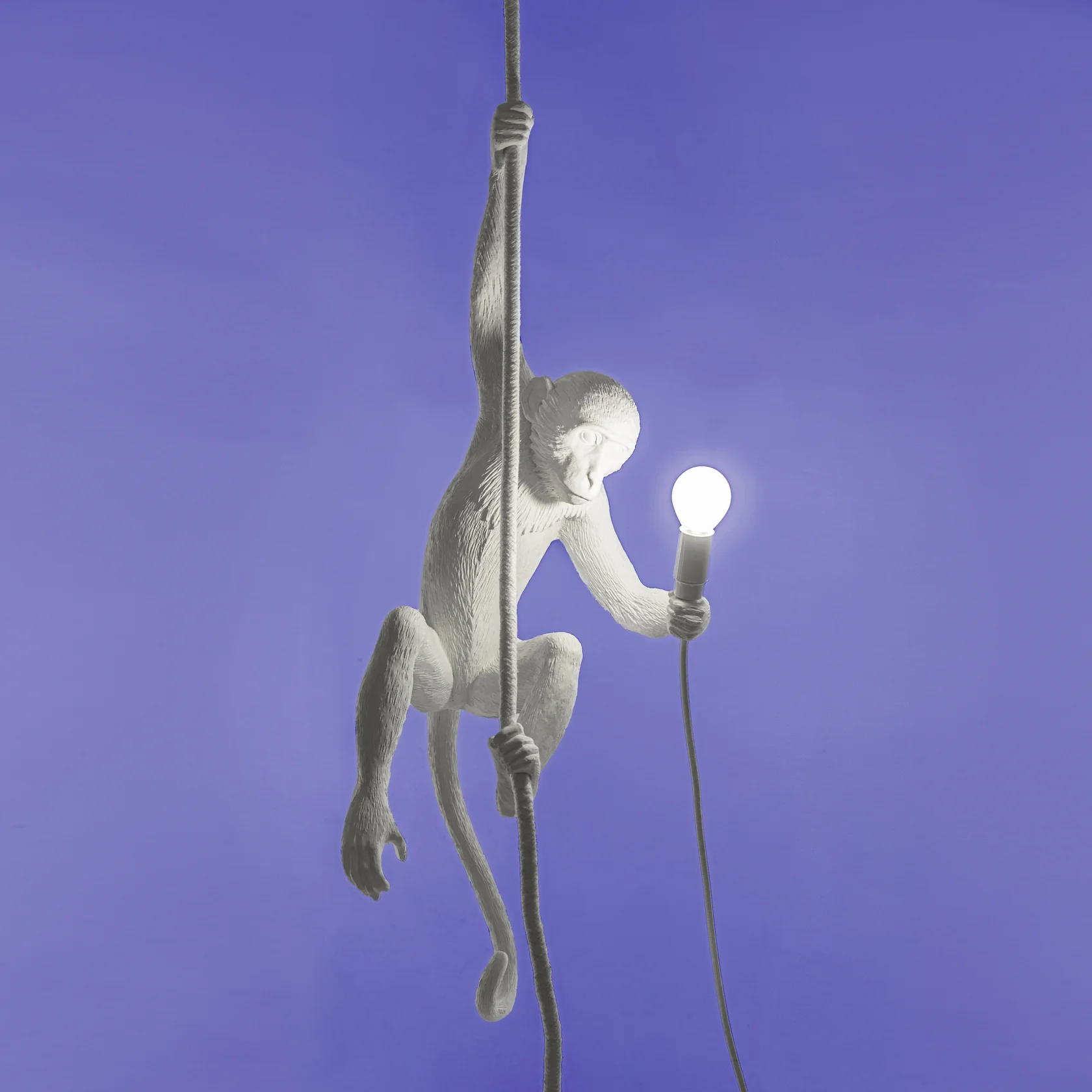 IMAGE for product variant SKU 14875