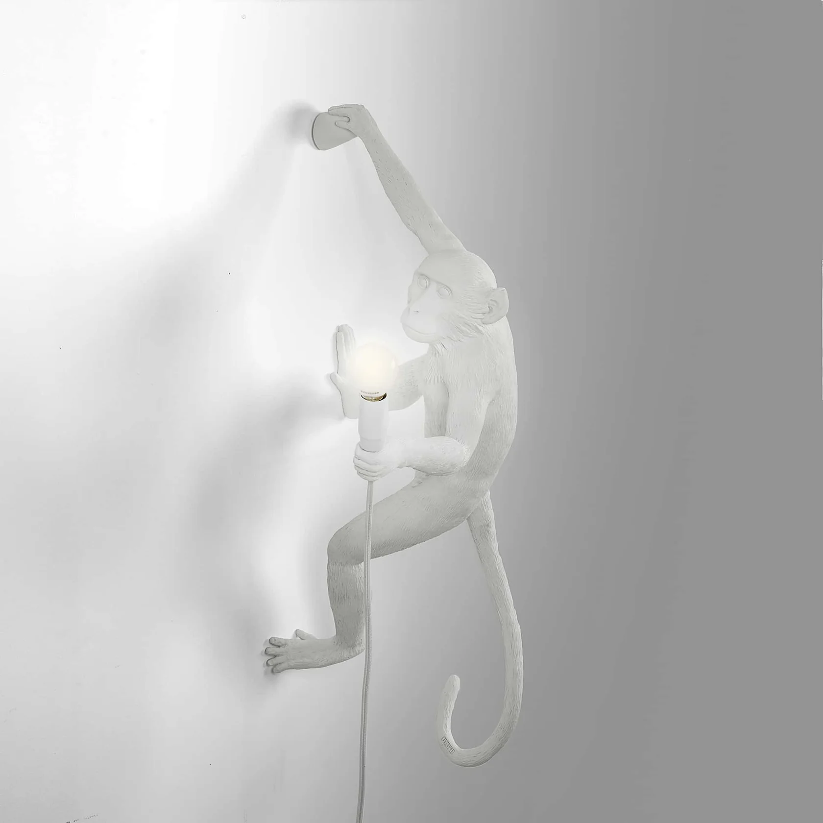IMAGE for product variant SKU 14879