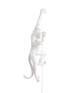 IMAGE for product variant SKU 14881