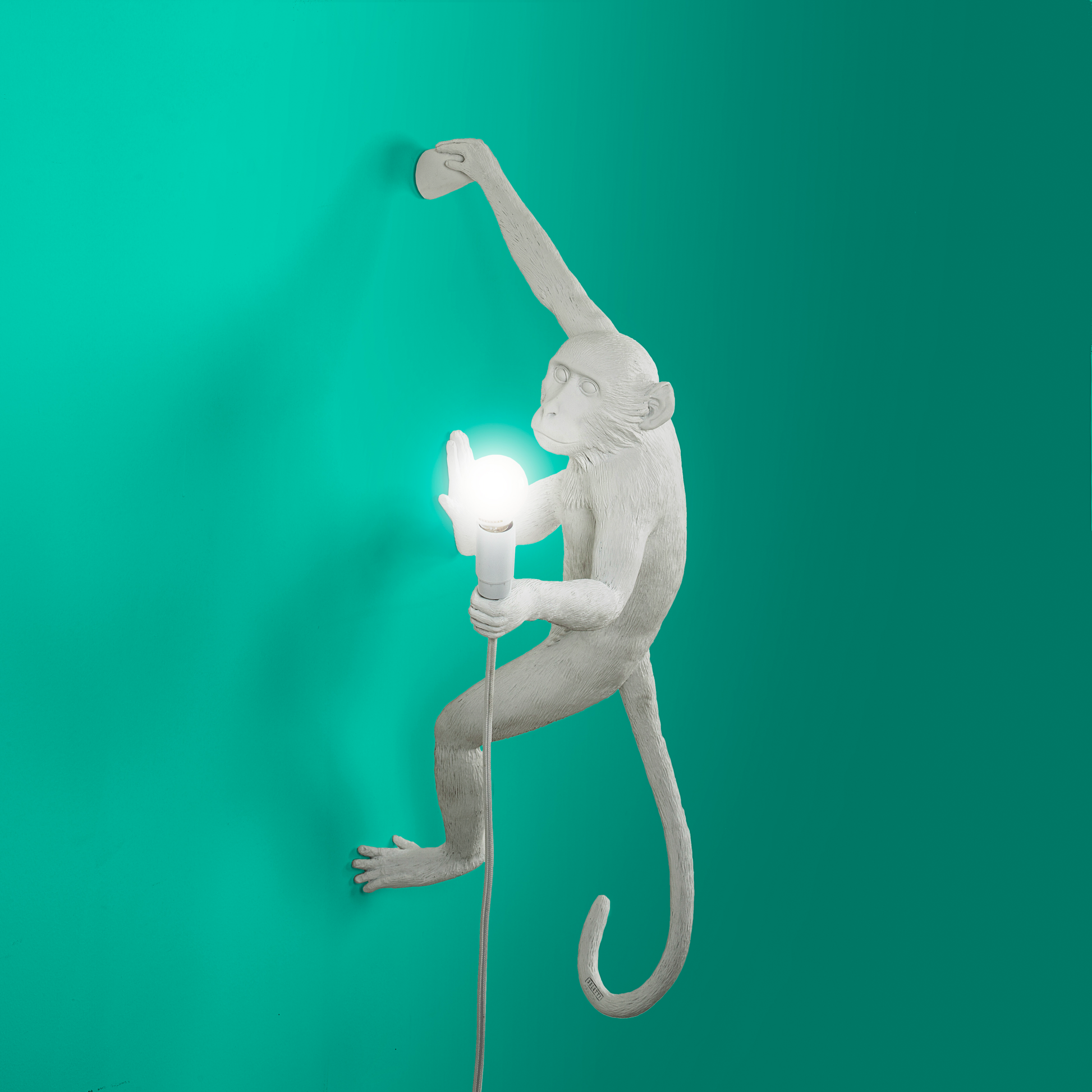 IMAGE for product variant SKU 14881