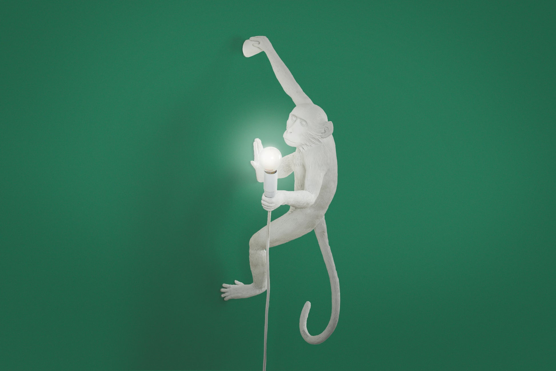 IMAGE for product variant SKU 14881