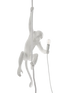 IMAGE for product variant SKU 14883