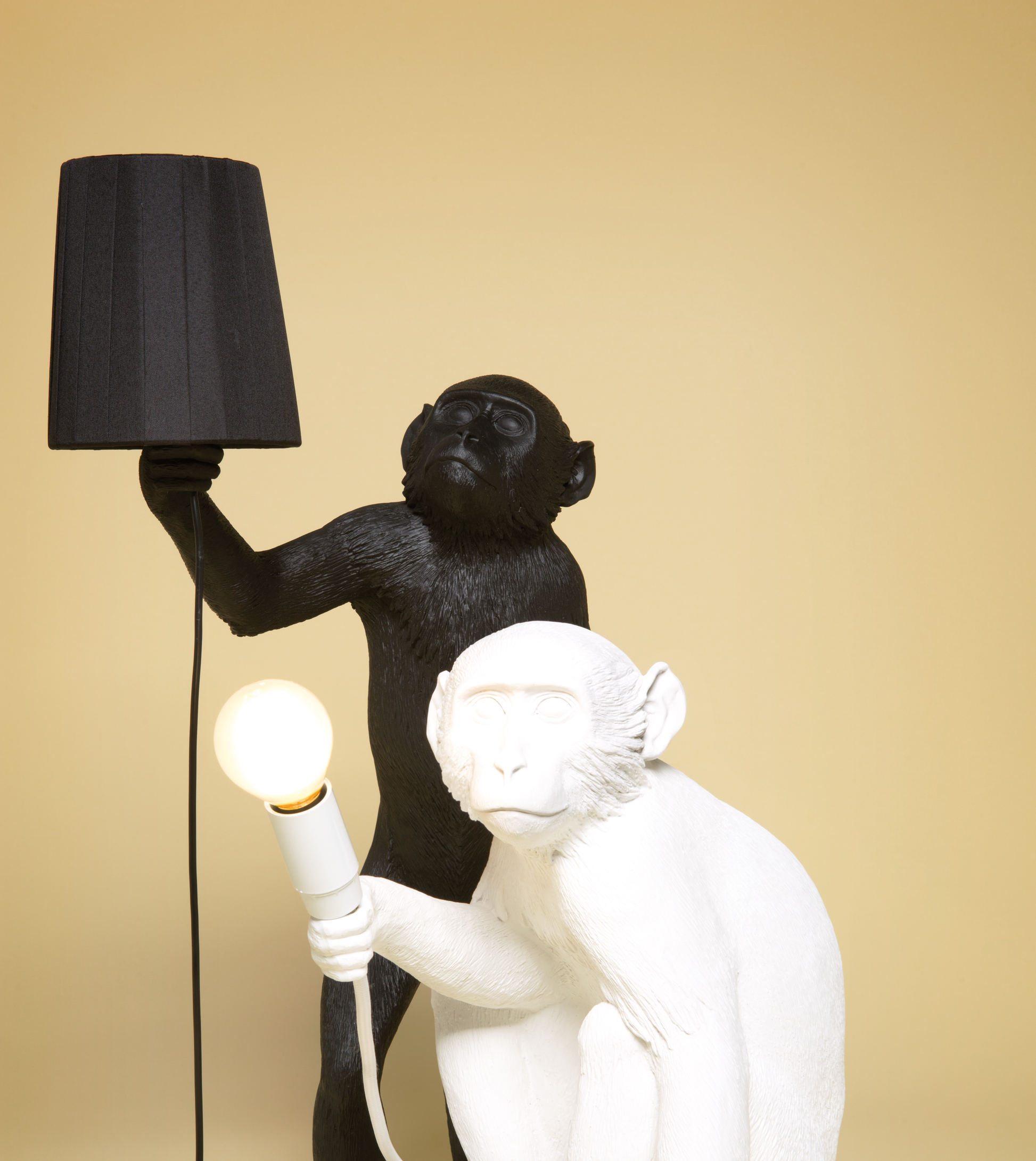 IMAGE for product variant SKU 14883