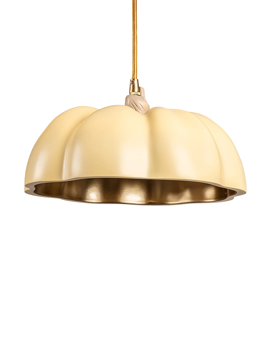 
Suspension design « Vitamin Pumpkin »