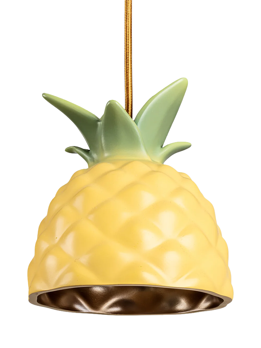 
Suspension design « Vitamin Pineapple »