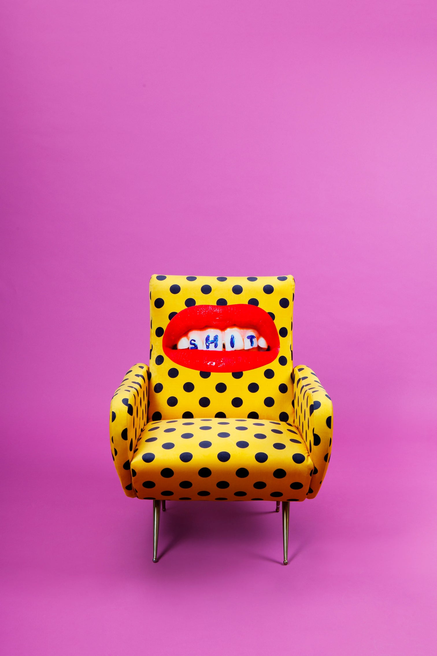 
Fauteuil lounge design « Toiletpaper Shit »