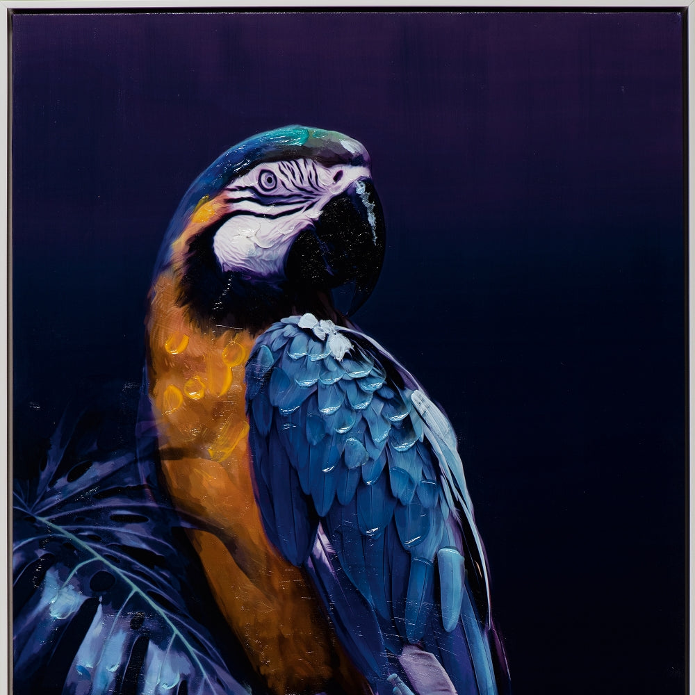 IMAGE for product variant SKU 161283