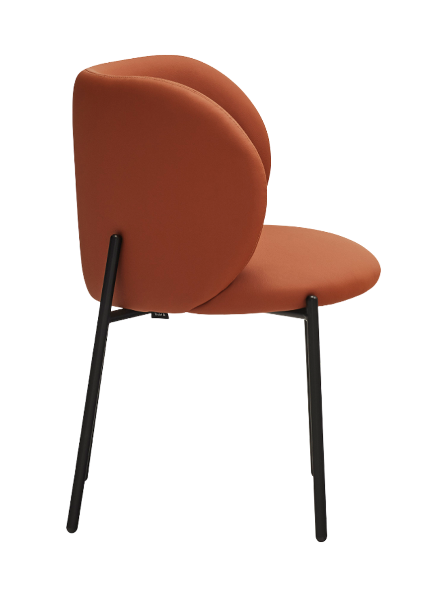 IMAGE for product variant SKU 16291_TE