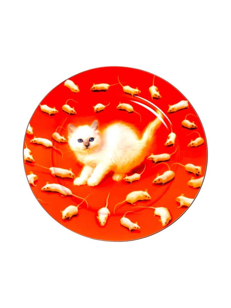 
Design Porzellan Speiseteller „Toiletpaper Kitten“