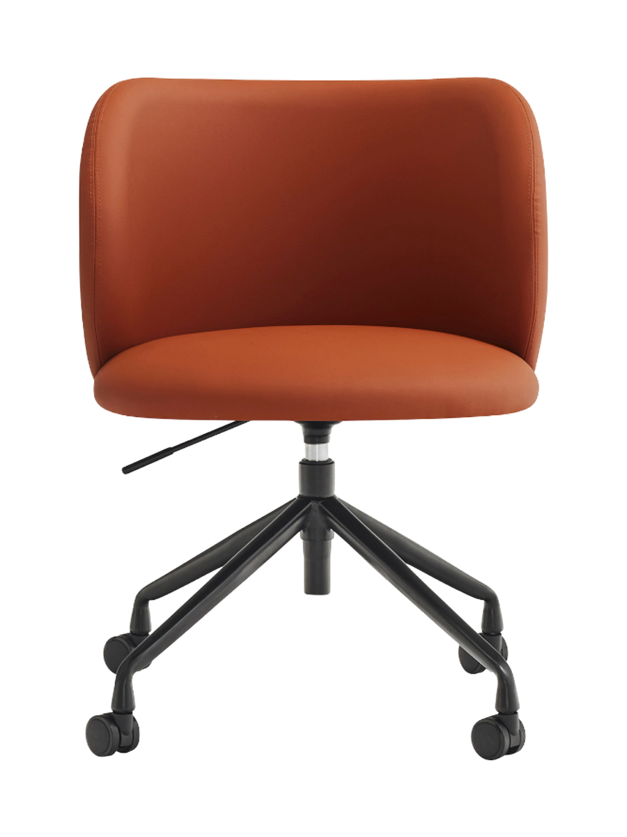 IMAGE for product variant SKU 17520_TE