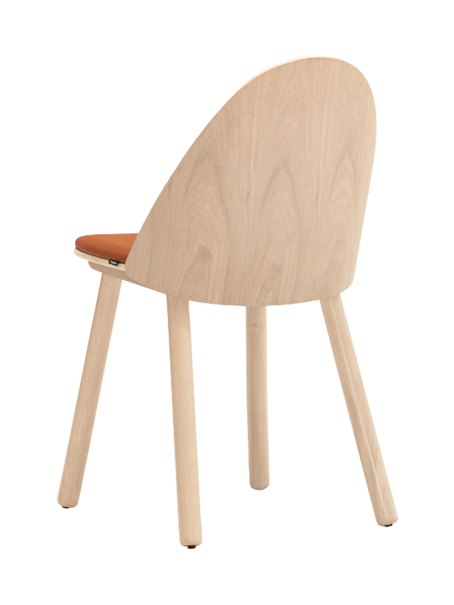 IMAGE for product variant SKU 19145_TE