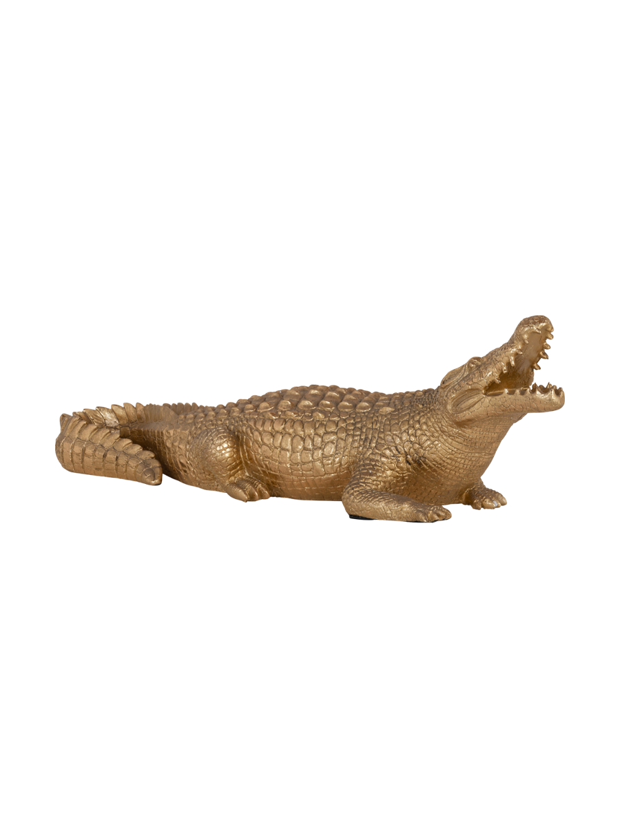 
Grande oggetto decorativo di design “Crocodile”
