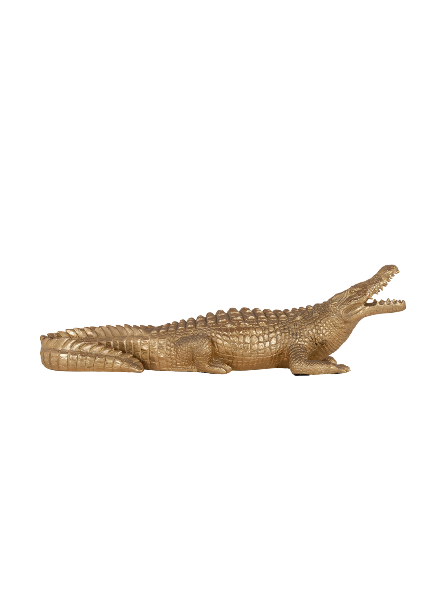 IMAGE for product variant SKU 210359