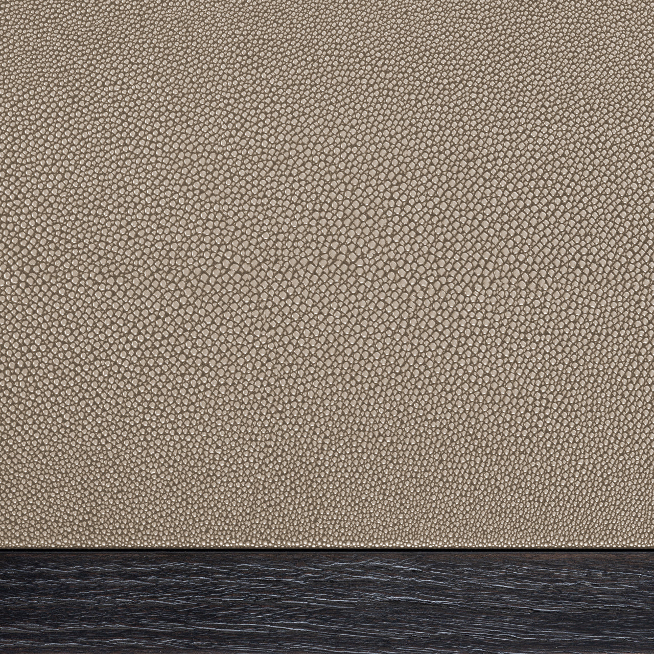 IMAGE for product variant SKU 210621