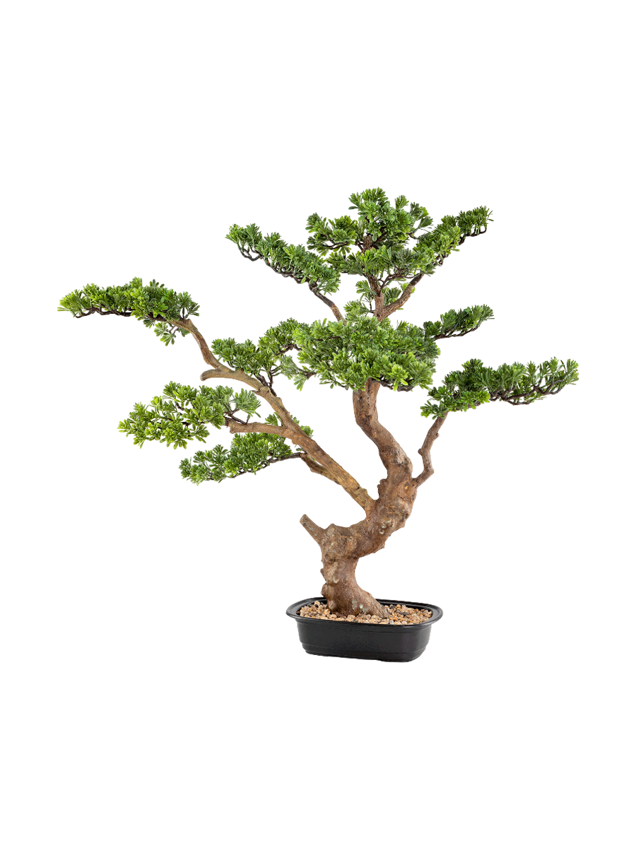 
Plante artificielle haut de gamme « Sokan »