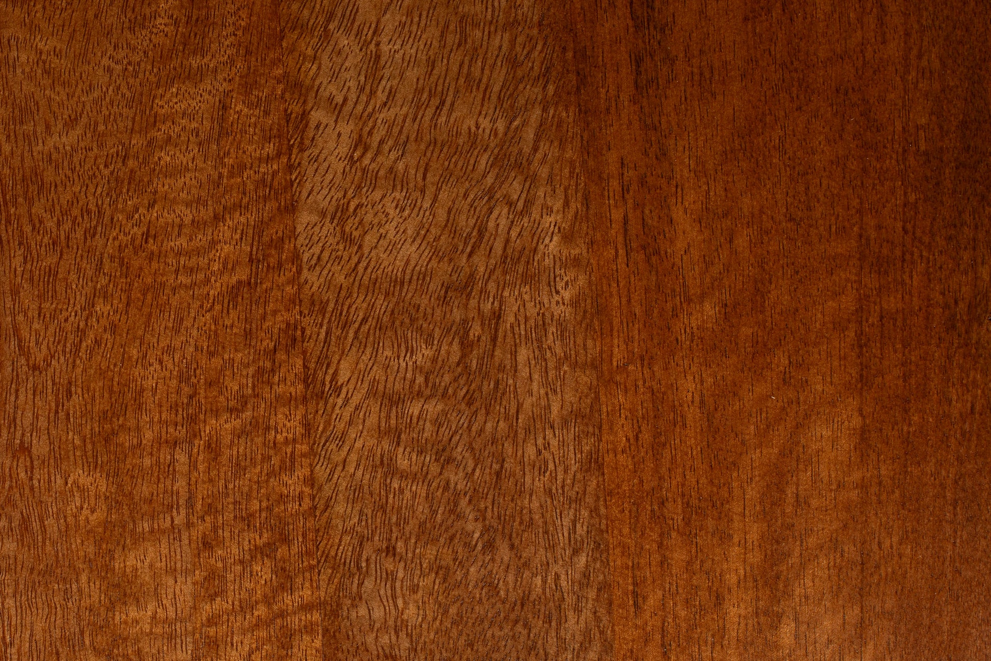 IMAGE for product variant SKU 2300419