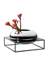IMAGE for product variant SKU 240027