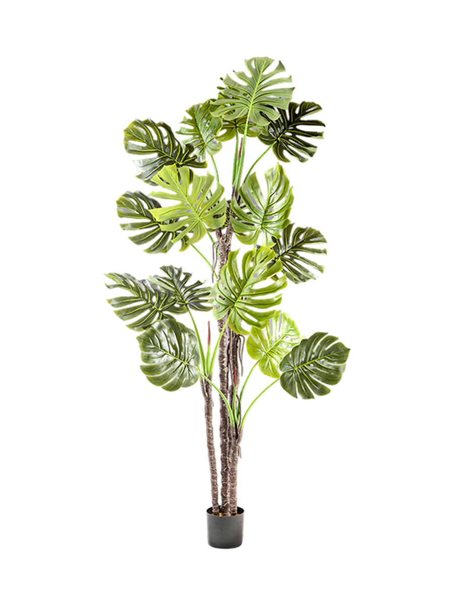 
Hochwertige Kunstpflanze „Monstera“