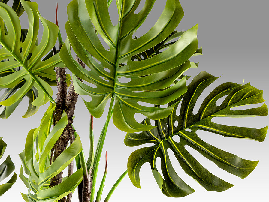 
Pianta artificiale di alta qualità «Monstera»