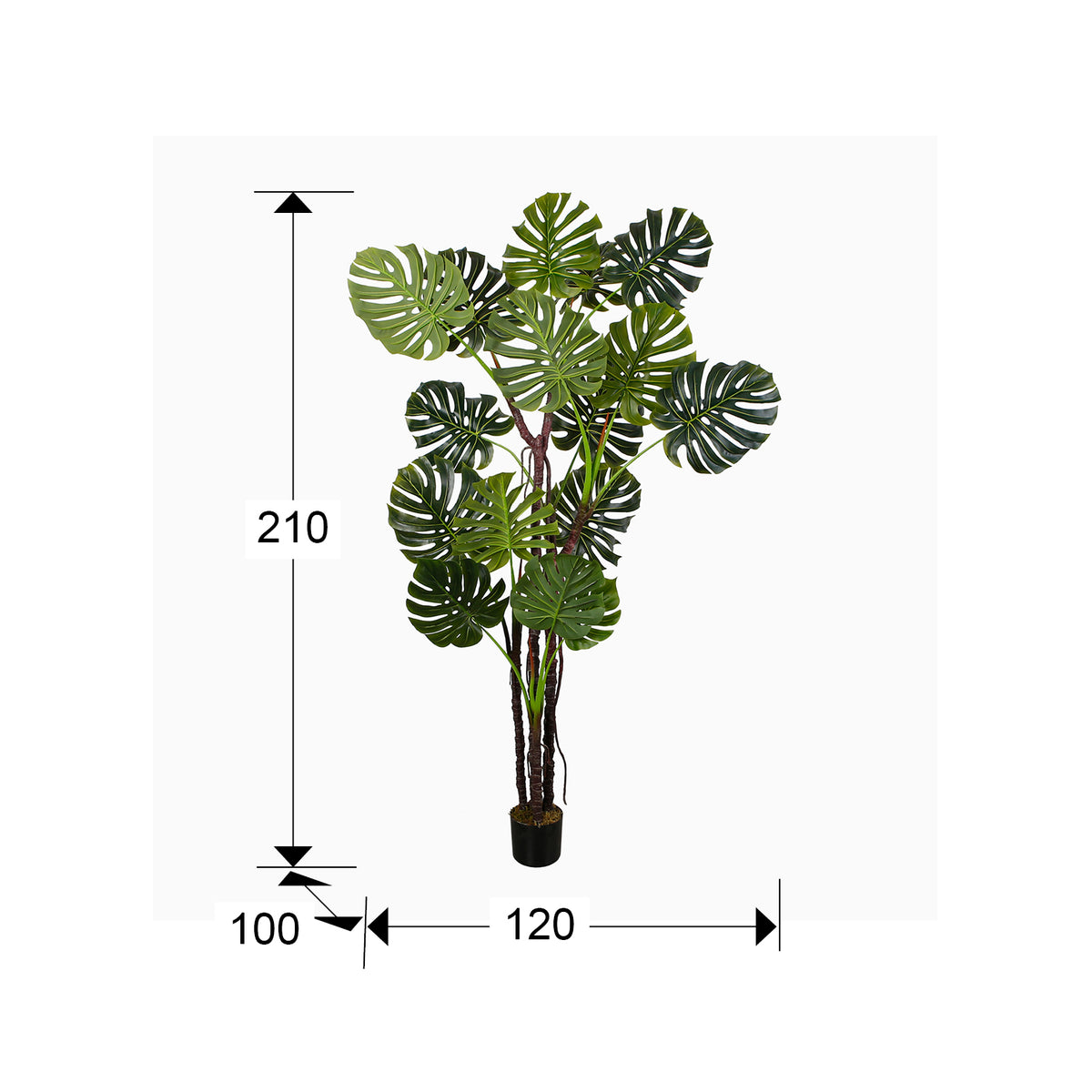 
Pianta artificiale di alta qualità «Monstera»