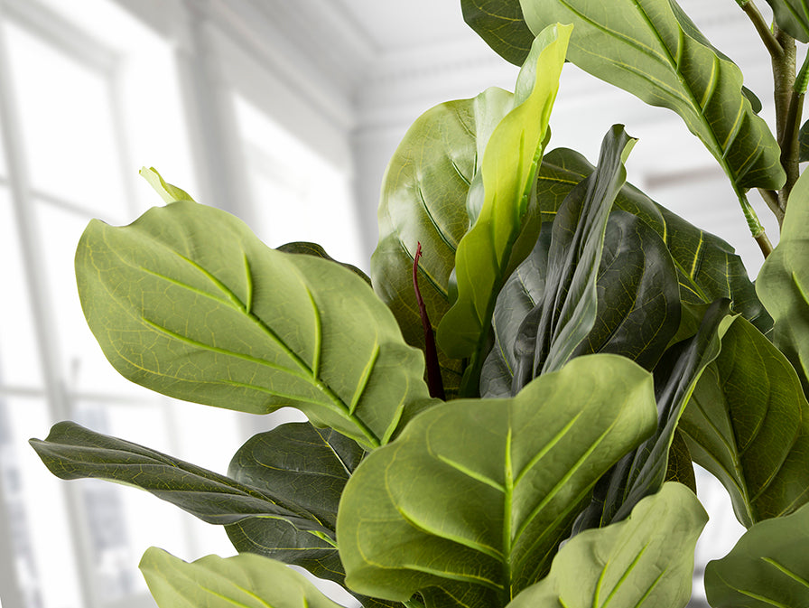 
Plante artificielle haut de gamme « Higuera »