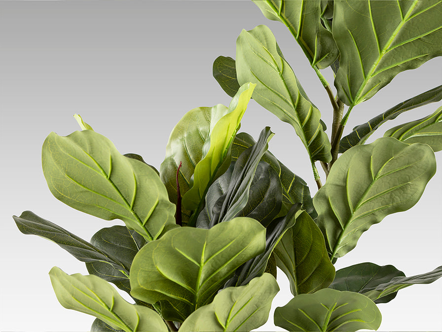 
Plante artificielle haut de gamme « Higuera »