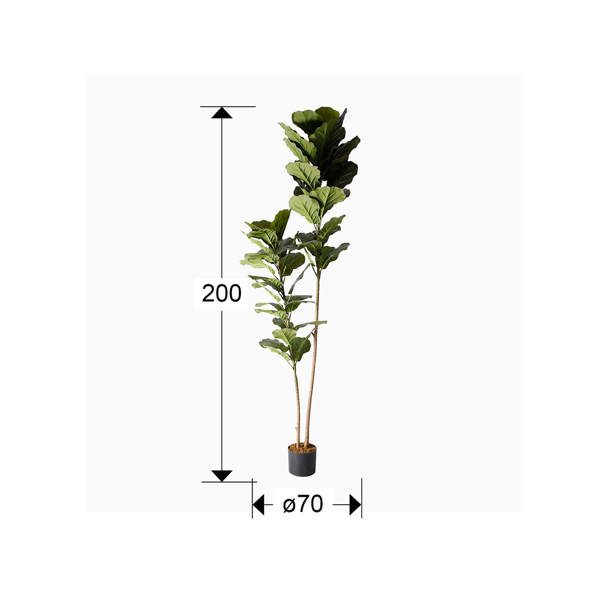 
Plante artificielle haut de gamme « Higuera »