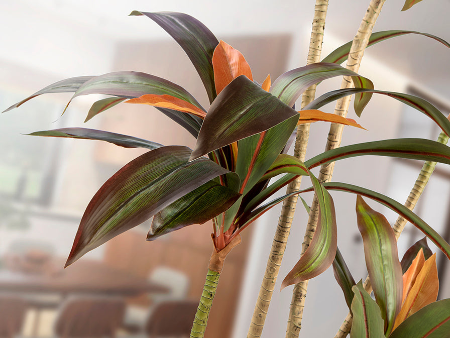
Pianta artificiale di alta qualità «Dracena Roja»