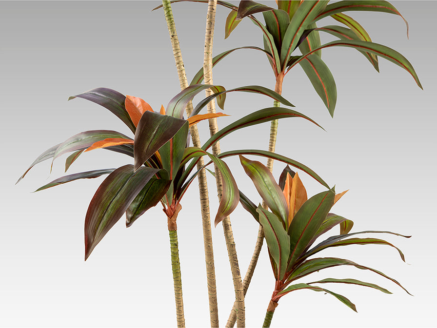 
Pianta artificiale di alta qualità «Dracena Roja»