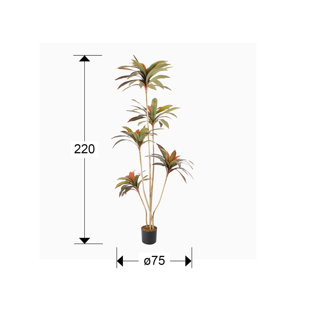 
Pianta artificiale di alta qualità «Dracena Roja»