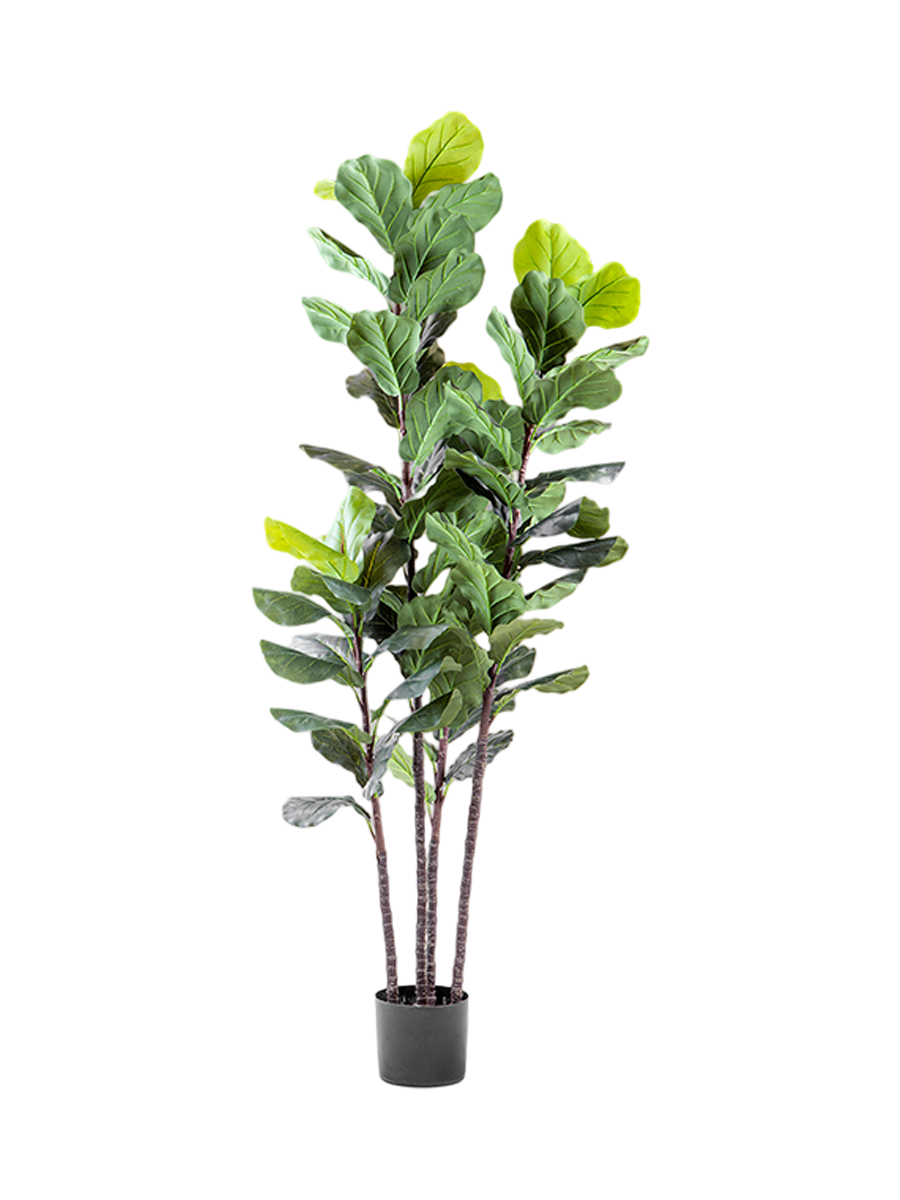 
Premium artificial plant “Higuera Violin”
