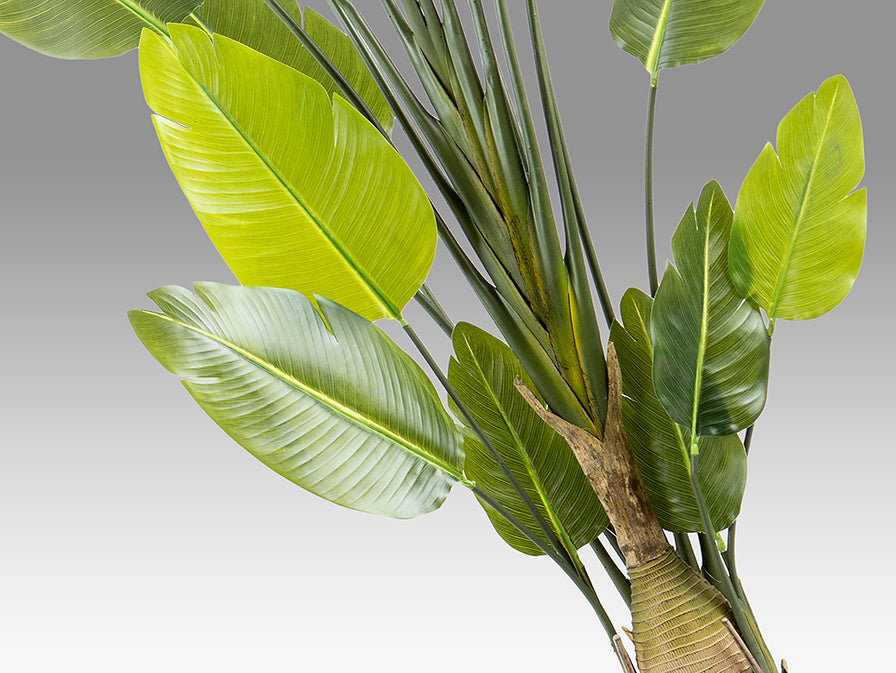 
Pianta artificiale di alta qualità «Ave Paraiso»
