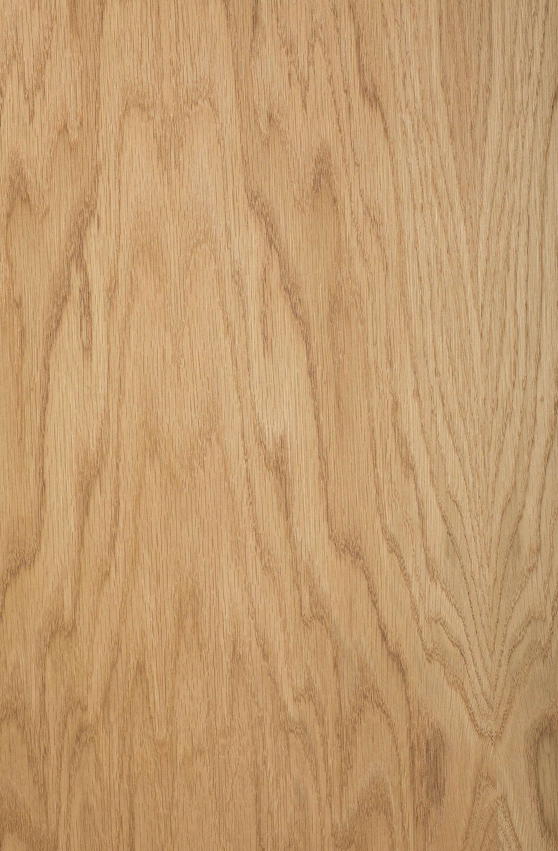 IMAGE for product variant SKU 287475101132