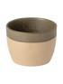 IMAGE for product variant SKU 2GOC101-OLV
