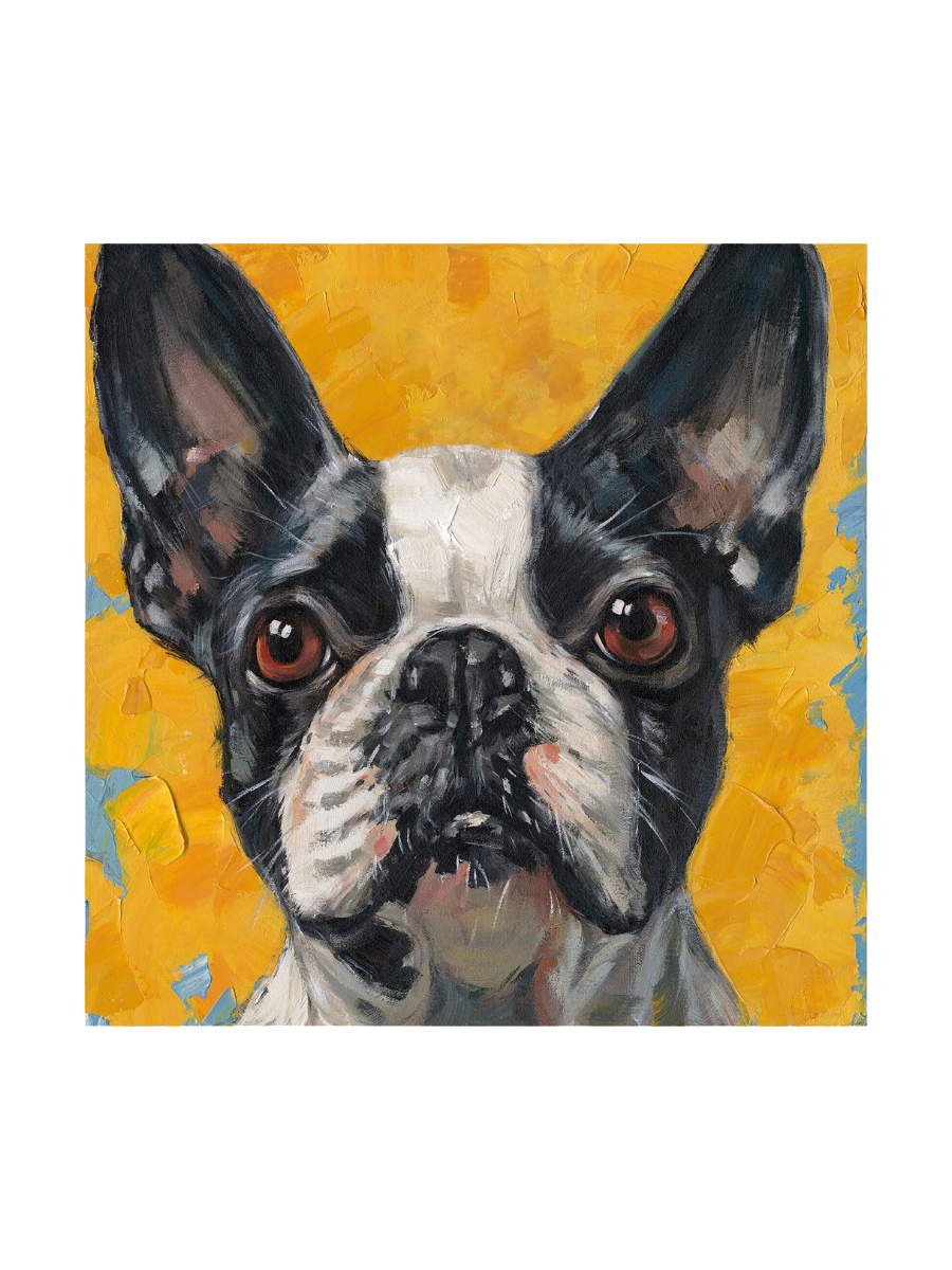 
Handbemaltes Bild „Oskar“ 70 x 70 cm