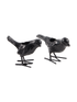 IMAGE for product variant SKU 390-225-210